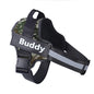 Dog Harness