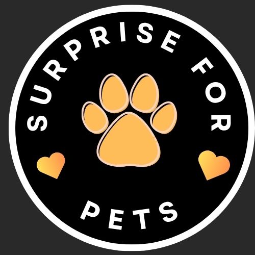 SurpriseForPets
