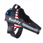 Dog Harness