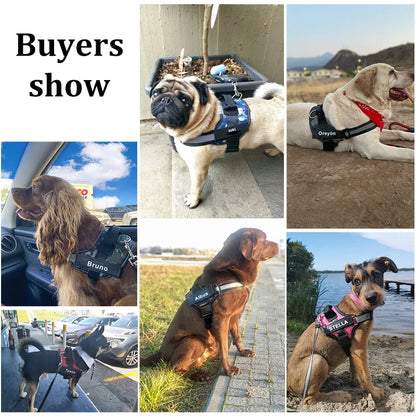 Dog Harness